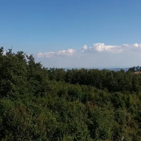Bakonyi Margareta Vendeghaz Πανσιόν