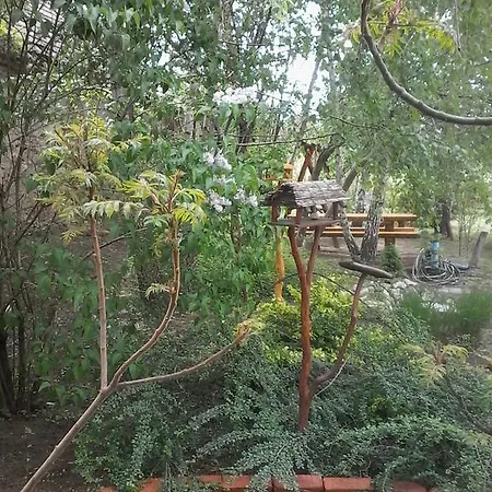 Bakonyi Margareta Vendeghaz Πανσιόν